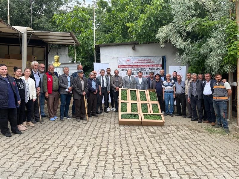 DEVLET DESTEKLİ BOSTAN FİDESİ DAĞITILIYOR
