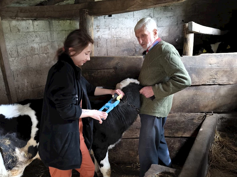 KÜPELEME VE KAYIT ALTINA ALMA ÇALIŞMASI