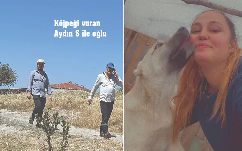 BU CANA NASIL KIYDIN?