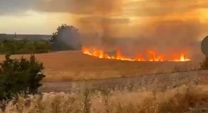 BUĞDAY TARLASI SANİYELER İÇERİSİNDE KÜLE DÖNDÜ