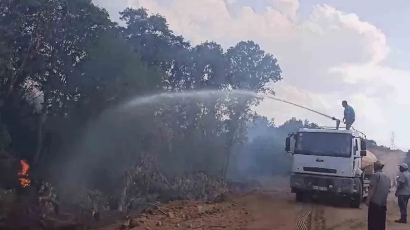 TÜRKİYE-BULGARİSTAN SINIRINDA ÇIKAN YANGIN SÖNDÜRÜLDÜ