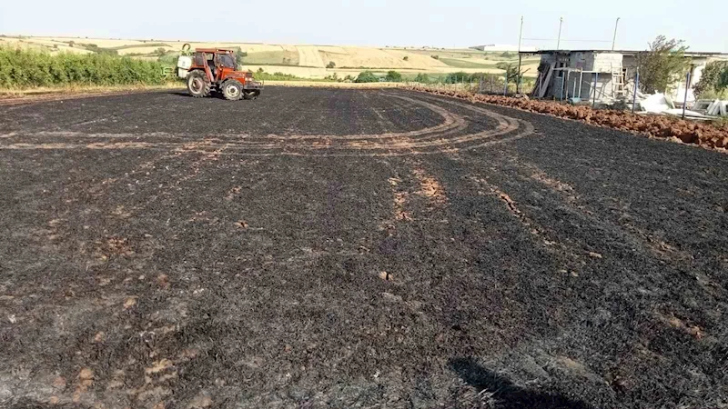 2.5 DÖNÜM BUĞDAY TARLASI KÜLE DÖNDÜ