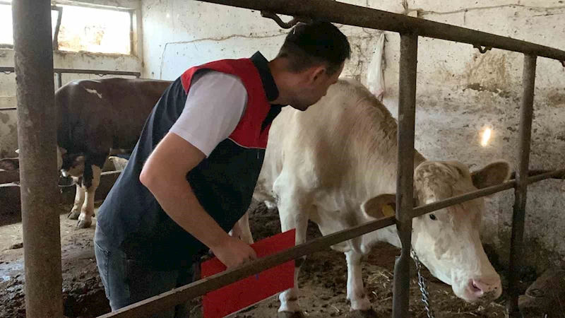 KURBAN KESİM YERLERİNE SIKI DENETİM