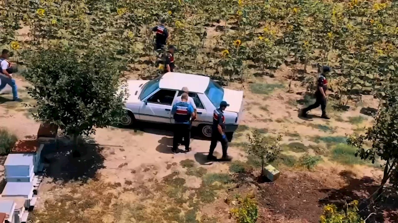 TEKİRDAĞ’DA HAZİNE ARAZİSİNE KENEVİR EKEN ŞAHIS YAKALANDI