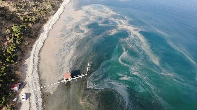 DENİZDE TURUNCU RENK İSTİLASI