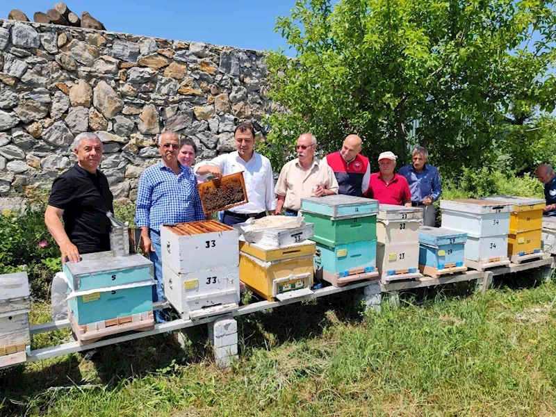 KÖYLÜYE ANA ARI DAĞITIMI...