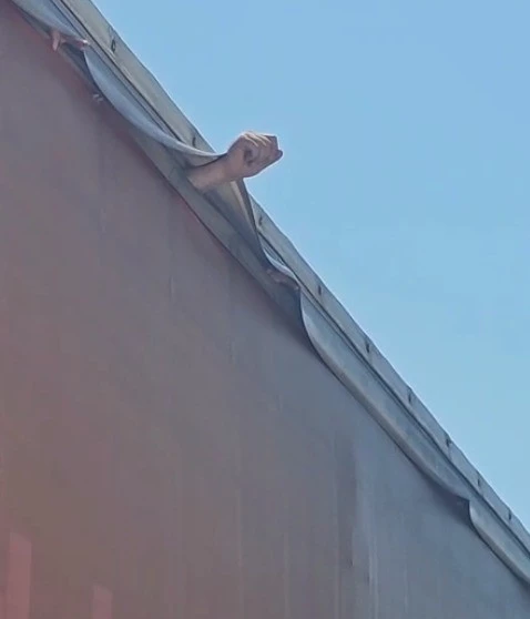 TIRDAN SARKAN KOLU FARK EDEN SÜRÜCÜ FACİAYI ÖNLEDİ