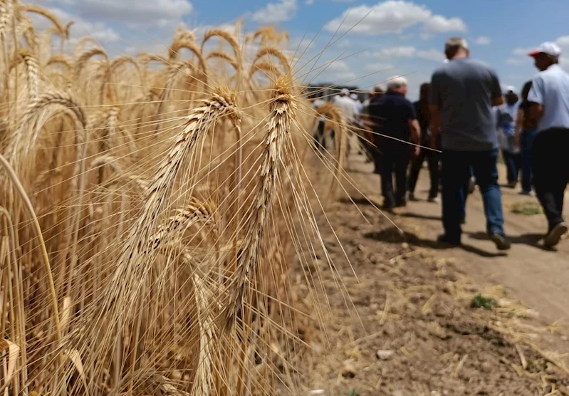 ÇEŞİDİN DOĞRU VERİMİN BOL OLSUN PROJESİ GERÇEKLEŞTİ