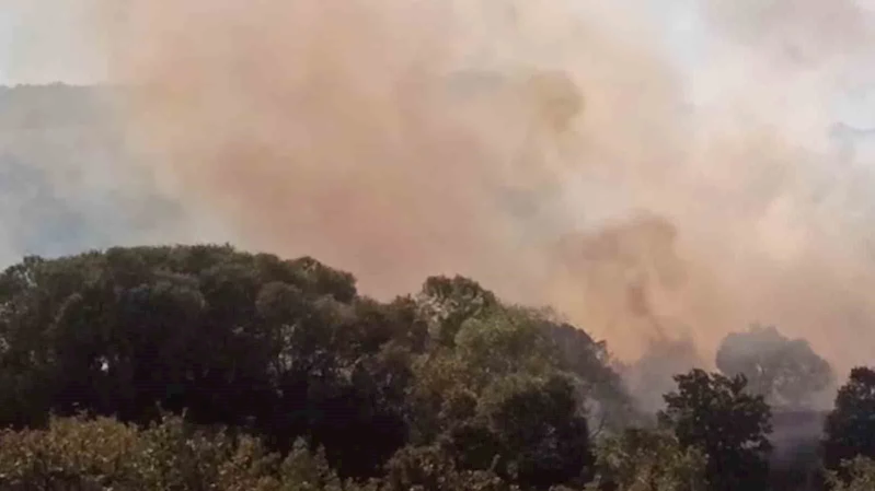 ANIZDAN ORMANA VE AYÇİÇEĞİ TARLASINA SIÇRAYAN YANGIN SÖNDÜRÜLDÜ