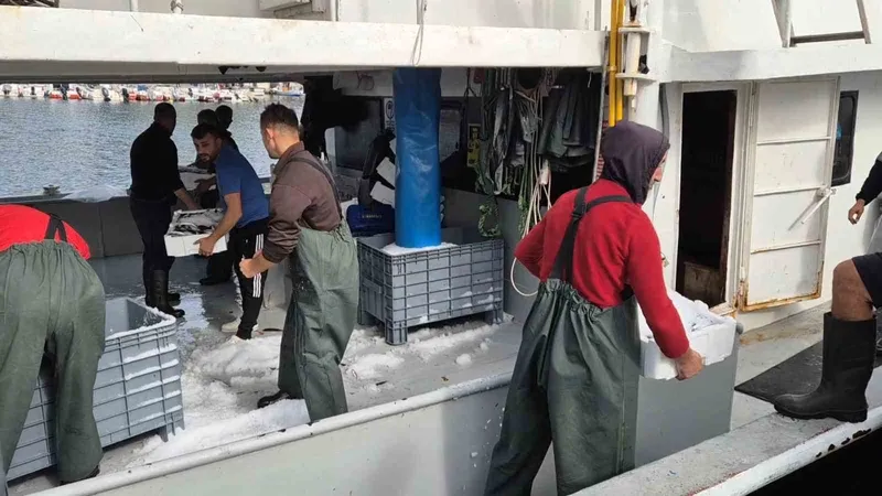 KASA KASA BALIKLA DÖNDÜLER:TEKİRDAĞLI BALIKÇILARIN YÜZÜ GÜLÜYOR