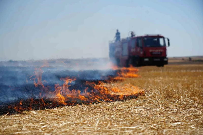 CEZA KESMEK BİLE ANIZ YAKANLARI DURDURMAYA YETMİYOR