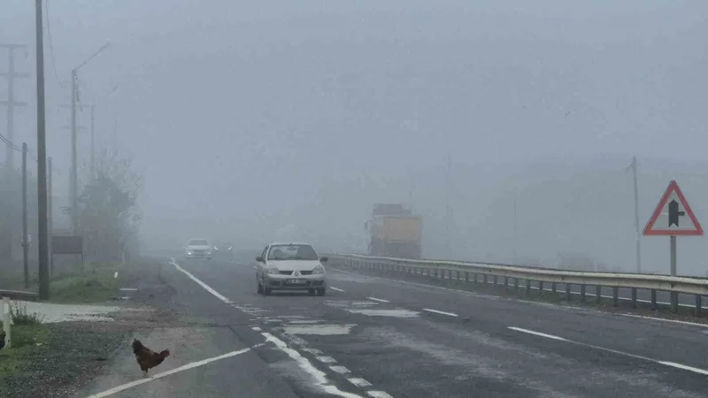 TEKİRDAĞ-MURATLI KARAYOLUNDA YOĞUN SİS ETKİLİ OLDU