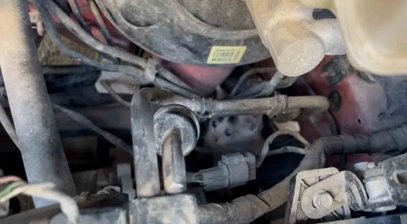 MOTORDA MAHSUR KALAN YAVRU KEDİLERİ İTFAİYE KURTARDI