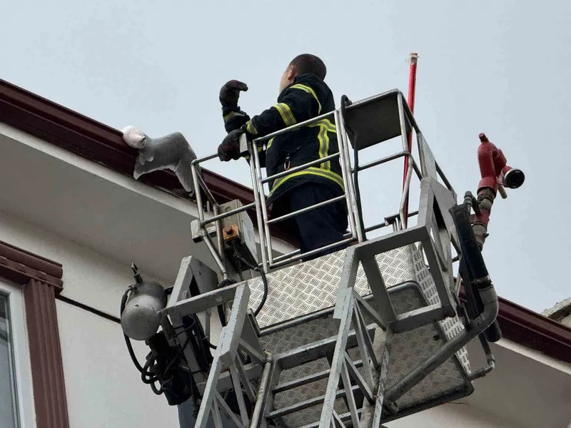 ÇATIDA SIKIŞAN MARTI