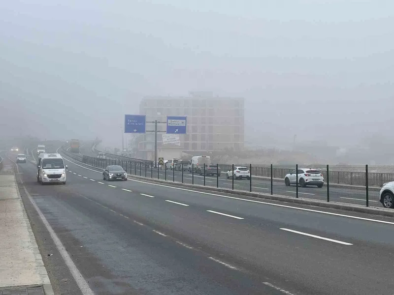 SABAH SİSİ KAPAKLI