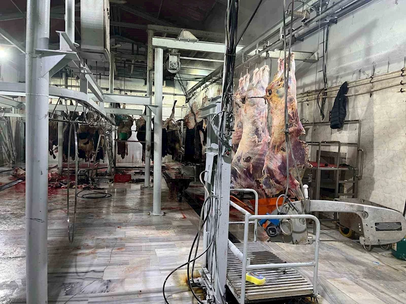 TEKİRDAĞ’DA KAÇAK KESİME 105 BİN TL CEZA