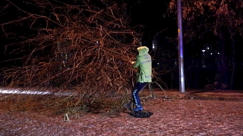 TRAFİK POLİSLERİ YOLA DEVRİLEN AĞAÇ İÇİN SEFERBER OLDU