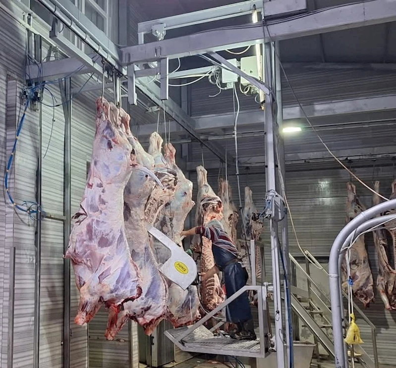 TEKİRDAĞ’DA YASAL OLMAYAN HAYVAN SEVKİNE 105 BİN CEZA