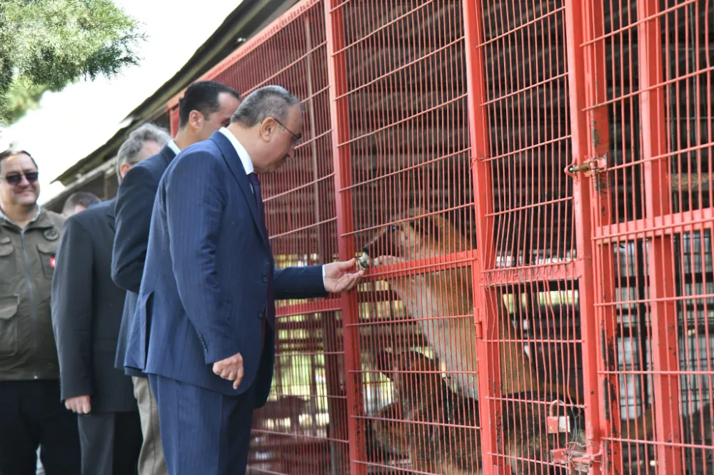 VALİ RECEP SOYTÜRK HAYVAN BARINAKLARINDA İNCELEME YAPTI