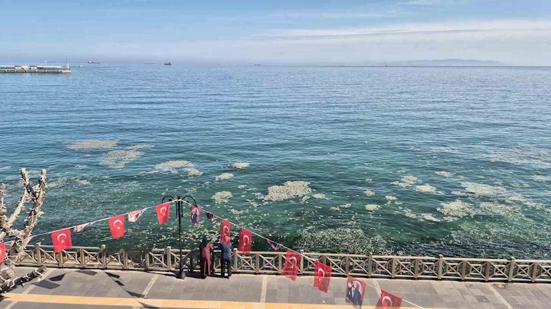 TEKİRDAĞ KIYILARINDA MÜSİLAJ BENZERİ BEYAZ TABAKA TEDİRGİN ETTİ