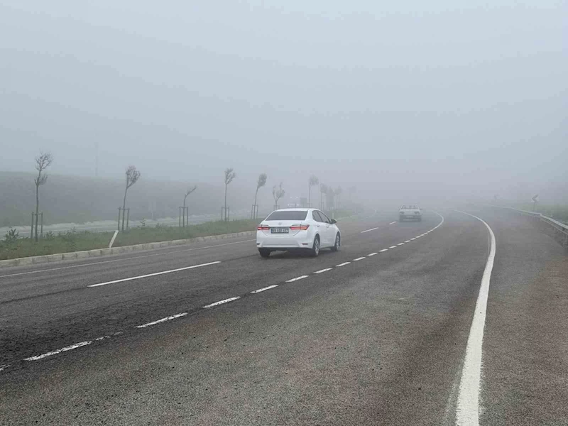 TEKİRDAĞ’DA YOĞUN SİS SÜRÜCÜLERE ZOR ANLAR YAŞATTI