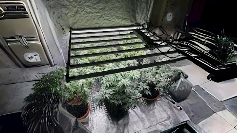 TEKİRDAĞ’DA JANDARMADAN SKUNK SERASINA BASKIN: 1 GÖZALTI