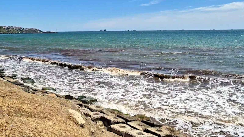 TEKİRDAĞ’DA POYRAZ SONRASI DENİZ YÜZEYİ KIZIL YOSUNLA KAPLANDI