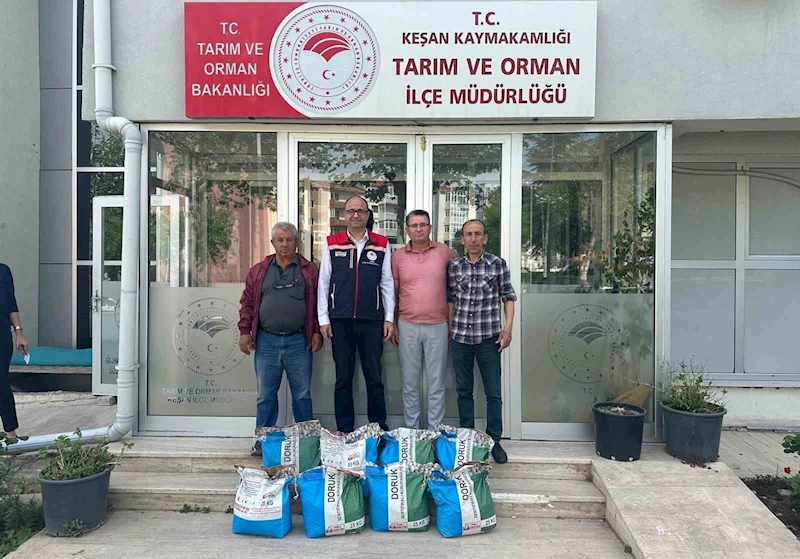 BAKANLIĞIN YÜZDE 75 HİBESİYLE 73 ÜRETİCİYE KURU FASULYE TOHUMU VERİLDİ