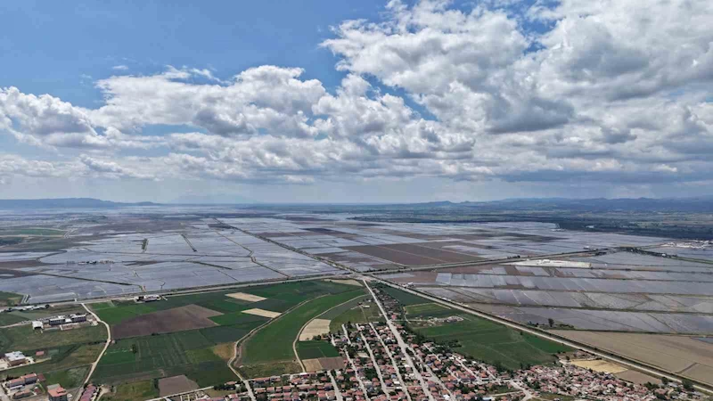 PİRİNÇ EKİLEN ALANLAR HAVADAN BÖYLE GÖRÜNTÜLENDİ: VENEDİK DEĞİL İPSALA OVASI
