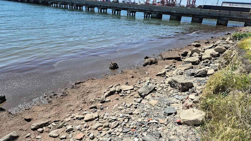 MARMARA DENİZİ’NİN TEKİRDAĞ KIYILARINDA KIZIL YOSUN BİRİKİNTİSİ OLUŞTU