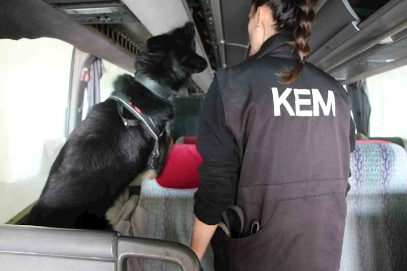 KAPIKULE’DE 77 KİLO ECSTACY ELE GEÇİRİLDİ