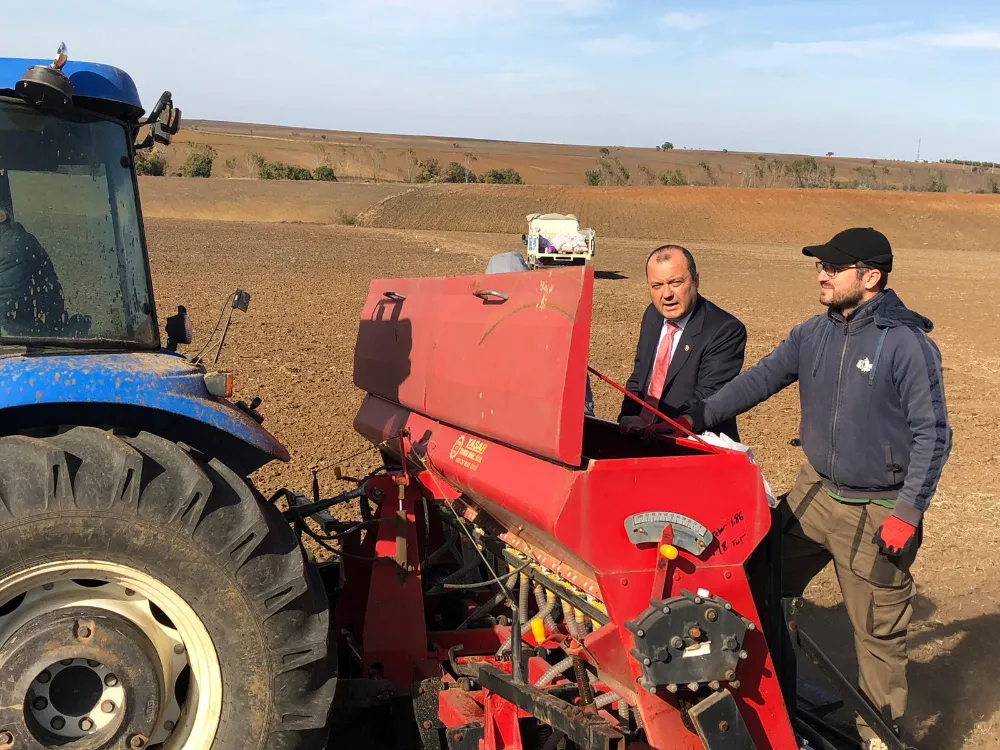 TARIM SEKTÖRÜ BİTKİSEL HAYATTA!
