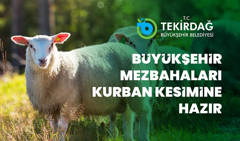 BÜYÜKŞEHİR MEZBAHALARI, KURBAN KESİMLERİNE HAZIR