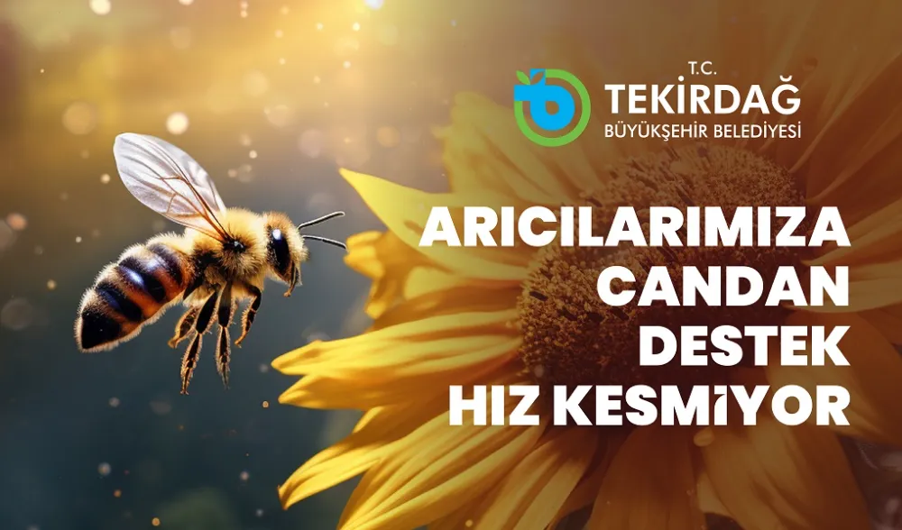 ARICILARA CANDAN DESTEK ARI YAŞAM GÜCÜ PROJESİ İÇİN BAŞVURULAR BAŞLADI