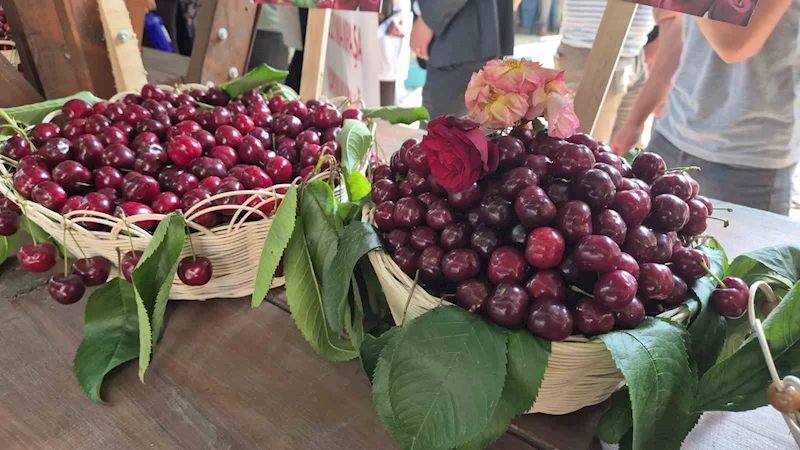 TEKİRDAĞ’DA ‘KİRAZ FESTİVALİ’ COŞKUYLA BAŞLADI
