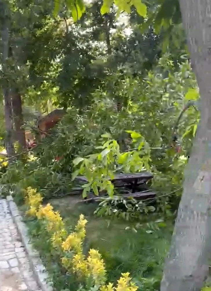 SÖĞÜTLÜK KENT ORMANI’NDA FACİADAN DÖNÜLDÜ