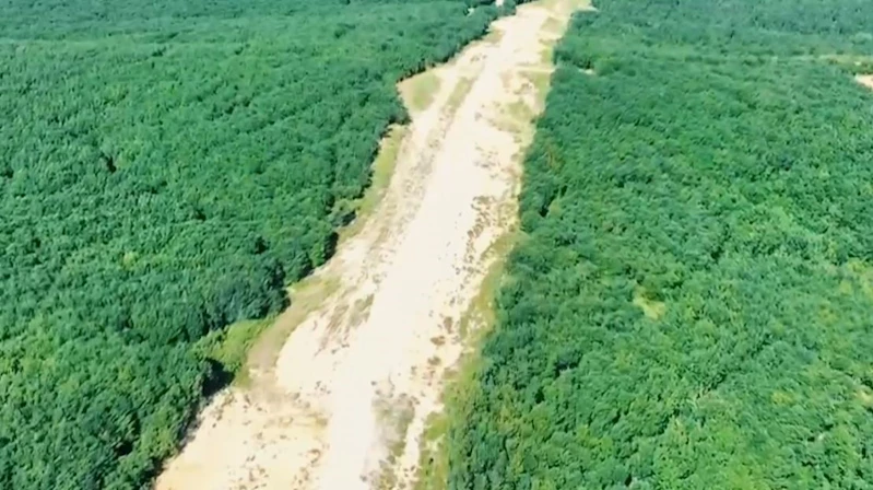 TEKİRDAĞ’DA ORMAN NÖBETİ: JANDARMA KAÇAK KESİMLERE GEÇİT VERMİYOR
