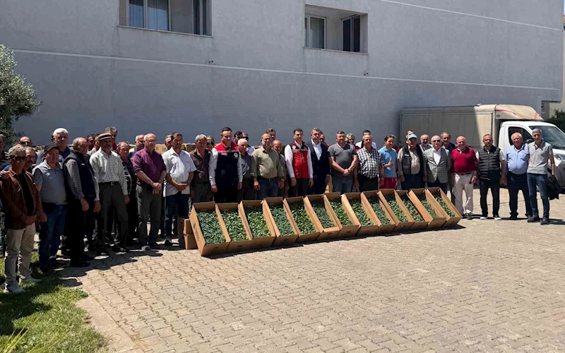 TEKİRDAĞ’DA 314 ÜRETİCİYE 283 BİN SEBZE FİDESİ DAĞITILDI