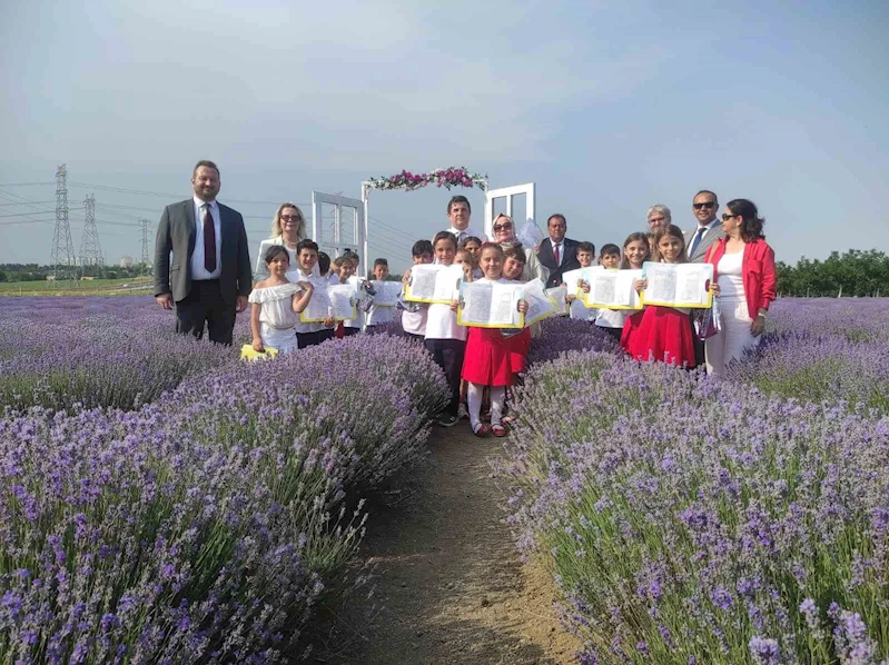 KARNELERİNİ MOR TARLADA ALDILAR