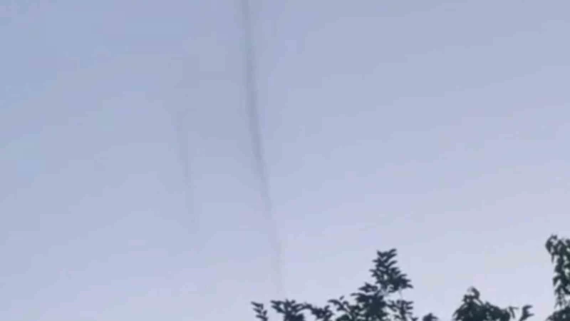 TEKİRDAĞ’DA KOKUTAN GÖRÜNTÜ: ‘SİNEK HORTUMLARI’ GÖRÜNTÜLENDİ