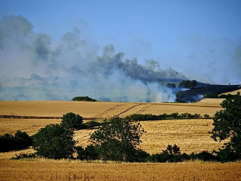 TEKİRDAĞ’DA BUĞDAY TARLASINDA ÇIKAN YANGINDA 200 DÖNÜM ALAN KÜL OLDU