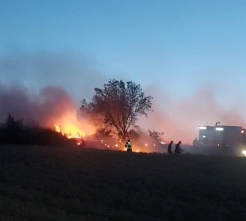 DÜĞÜNDE ATILAN HAVAİ FİŞEK BUĞDAY TARLASINI KÜLE ÇEVİRDİ