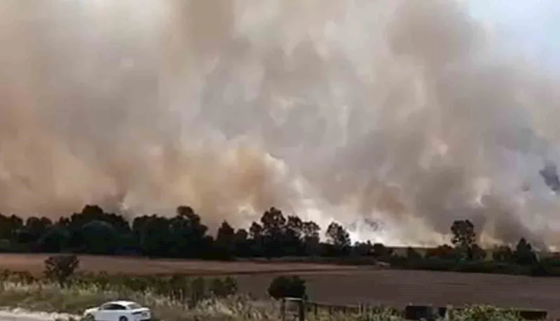 TEKİRDAĞ’DA 100 DÖNÜM TARIM ARAZİSİ YANDI