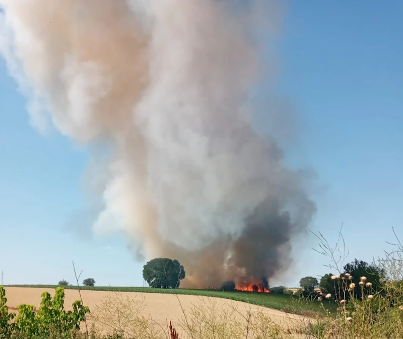 MALKARA’DA BUĞDAY TARLASINDA YANGIN: 20 DÖNÜM KÜL OLDU