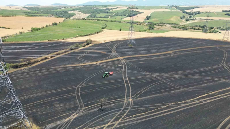 TEKİRDAĞ’DA BUĞDAY TARLASINDA ÇIKAN YANGINDA 250 DÖNÜM KÜL OLDU
