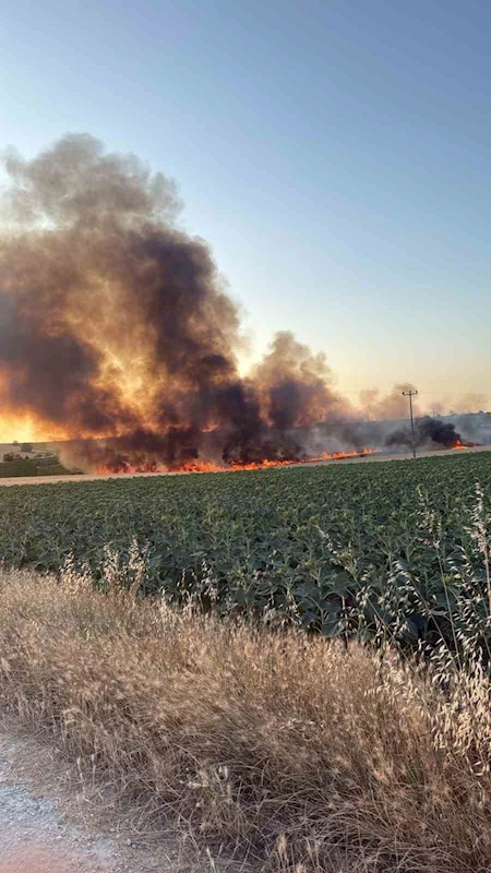 LÜLEBURGAZ’DA BUĞDAY TARLASINDA YANGIN