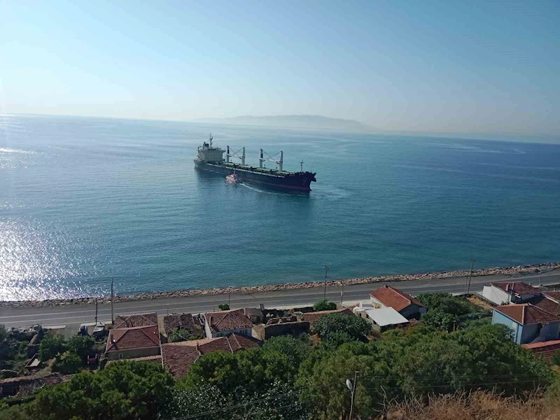 TEKİRDAĞ’DA YÜK GEMİSİ KARAYA OTURDU