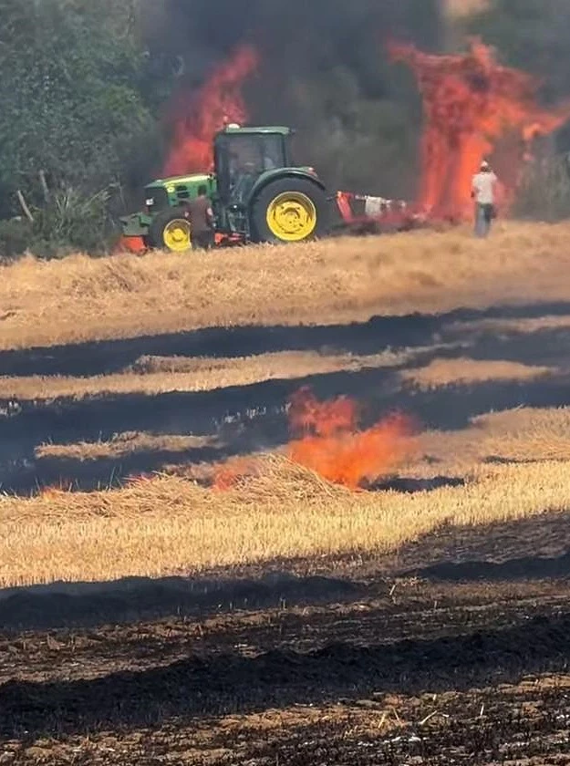 HAYRABOLU’DA 7 DÖNÜM BUĞDAY EKİLİ ALAN KÜL OLDU