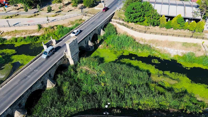 ŞEYTAN DERESİ YOSUN TUTTU