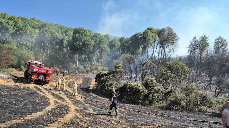 ŞARKÖY’DE TARLADA ÇIKAN YANGIN MAKİLİK ALANA SIÇRADI